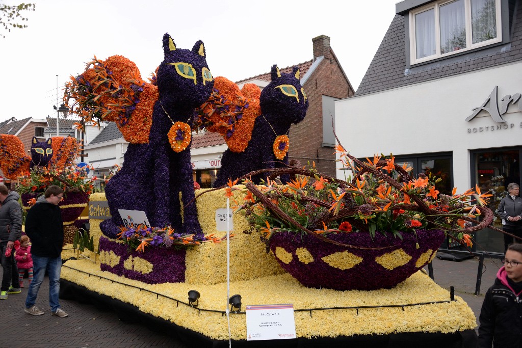 ../Images/Bloemencorso Noordwijkerhout 022.jpg